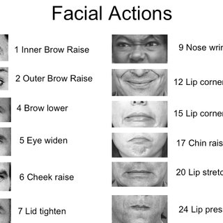 Ekman facial action coding system